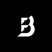 Blossom plumbing logo